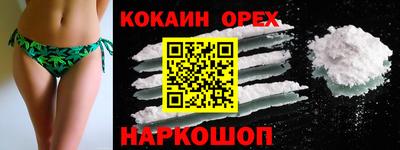 гидра Краснознаменск