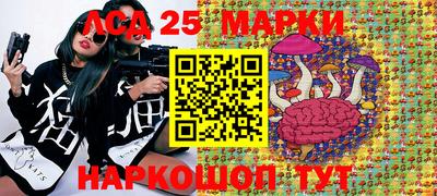 гидра Краснознаменск