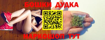 гидра Краснознаменск