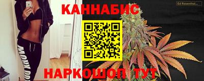 гидра Краснознаменск