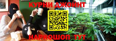 гидра Краснознаменск