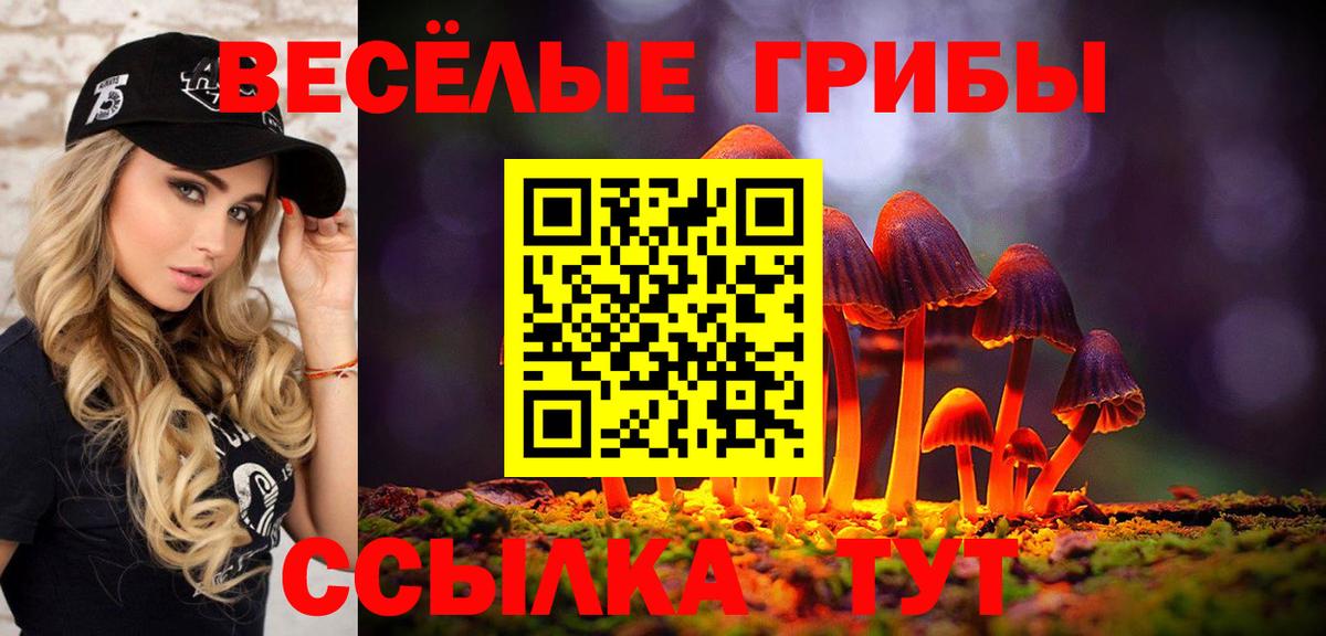 Псилоцибиновые грибы Magic Shrooms  Вход с VPN  где купить наркотик  Котлас 